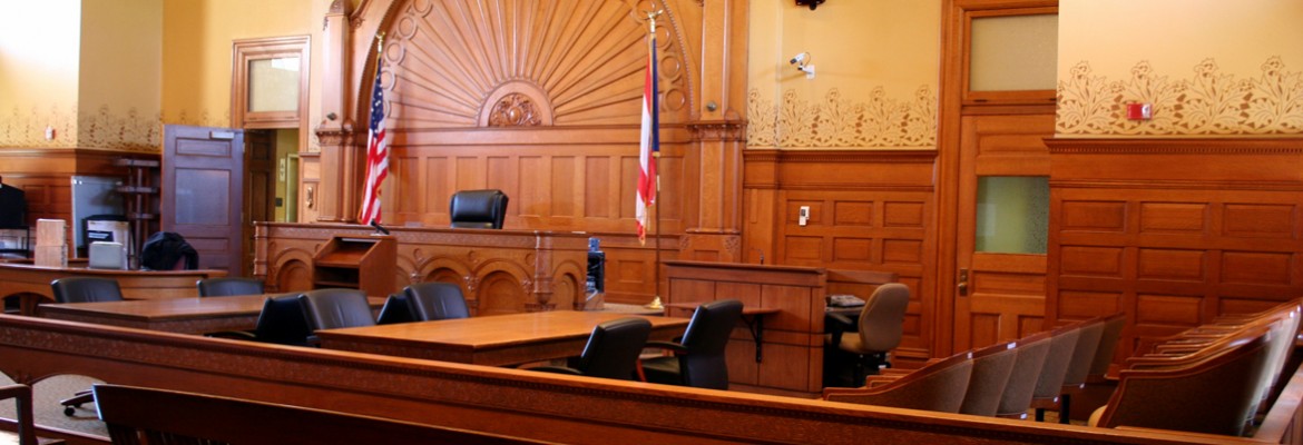 Litigation, Arbitration and Appeals